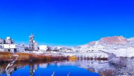 速写!一文读懂华新水泥40年