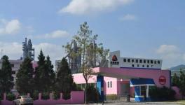 “高颜值”的经济效益 促生又一条4500t/d生产线