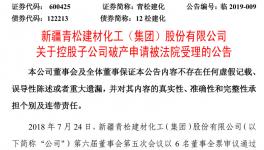 法院已受理这家水泥上市公司下属企业的破产申请