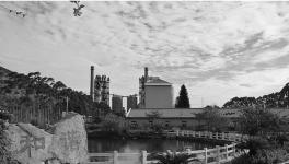 这一地区水泥龙头企业华润、海螺等喜获佳绩