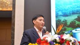 对技术创新着迷的水泥人