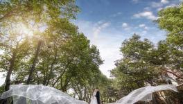 从“灰色制造”到“绿色智能”这家水泥企业完美转型