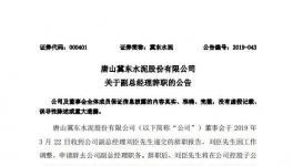 这家水泥企业副总经理辞职