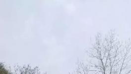 这家水泥厂破坏青山、污染环境何时休？