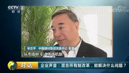 央视对话：宋志平再谈混合所有制改革