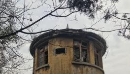 江南水泥厂被指保护不力，回应称原因复杂