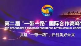 运管埃及10条线,一带一路展雄风！