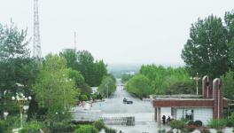 绿色生态，打造水泥厂最美四月天！