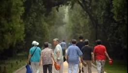 水泥行业将陷入到一个“可怕的陷阱”...