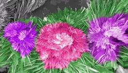 水泥的另外一种美！您见过吗？