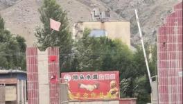 村民举报：已关停许久的水泥厂又开始生产，粉尘污染严重