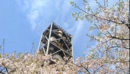 海螺水泥这么强大！答案在这里……