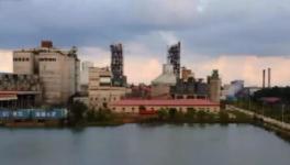 拉动经济！解决就业！印尼各级政府高度赞赏海螺水泥！