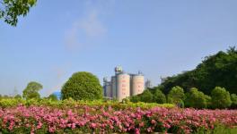 打造美丽矿区！叫响华新水平绿色品牌！