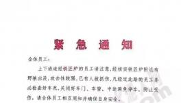 狼来了！这家水泥厂已有员工被抓伤！