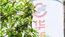 人与自然和谐相处！水泥厂迎来神秘访客！