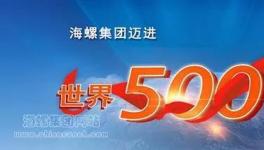 海螺集团迈进世界500强引起热烈反响！