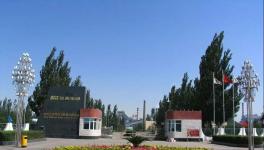 未来的民用水泥市场或由这两个品种“领导”！