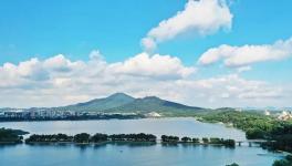 紧急通知！8月15日起推动部分水泥企业退出！9月起实施阶段性停产！