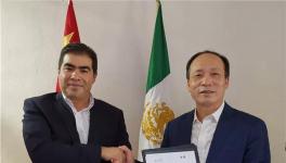 中国​代表团考察墨西哥霍尔希姆水泥公司水泥厂