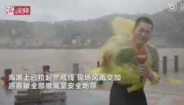 霸王级台风席卷多省份!近1000家水泥销售受影响！  