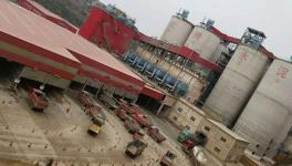 “顶风作案”！红狮水泥又出事了！