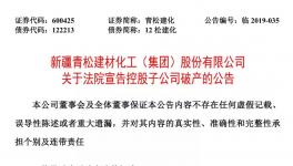 青松建化同意控股子公司申请破产并办理注销登记