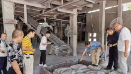 一间停产的水泥厂，竟然生产出了四个牌子的水泥？