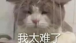 国庆节的催款心声，让数万水泥人不再沉默！