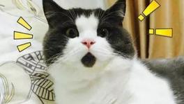 美！太美了！这些花园水泥厂您去过吗！