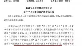 天山水泥子公司向法院申请破产清算并办理注销登记