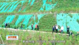 点赞！这一地区矿山生态环境恢复治理近200公顷！