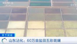 1吨海水超千元！废料还能造水泥！