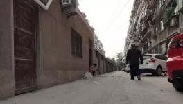 路面俩月没凝固，新铺水泥路变“豆腐渣路”！