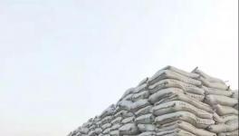 800元/吨的水泥来了！抢购！砂石、混凝土、混合材疯涨！超载不给货！