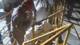 这家水泥企业用秸秆替代煤炭，一年节约2.07万吨原煤