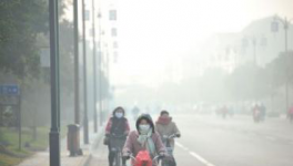 水泥停产！工地放假！物流停运！“春运”提前来了！