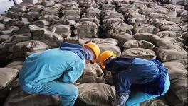 大事！砌筑32.5、P.P、P.F、P.S.A 32.5水泥全部取消！这个省动真格！