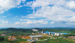 乘势而起求发展  步步为营谋布局——虎鹰集团发展纪略