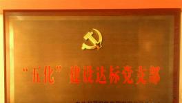 恭喜华新湘钢水泥下属支部获得“五化” 奖