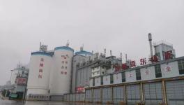 强手如林中拔得头筹！这家水泥企业年利润超3亿元！