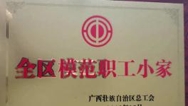 兴业海螺质量控制处工会小组荣获“2019年全区模范职工小家”荣誉称号