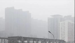 停工停产一个月！雾霾还是爆表！3000多家水泥企业“冤不冤”?