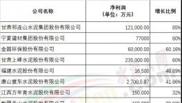 行业利润创历史新高！各大水泥集团2019年业绩发布！