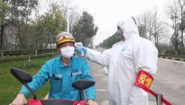 视频：无人驾驶调试、大型设备组装......芜湖海螺复产！