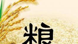 全球粮食市场异动，每个人都要提前应对了！