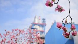 春色满厂区，花园水泥厂来了！！