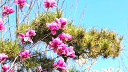 复工复产进行时：诗韵画卷里的洛阳中联！