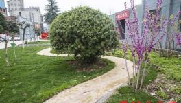 豫南水泥有限公司转型发展纪实