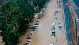 立即撤离！15个省市紧急预警！水泥价格集体下跌！